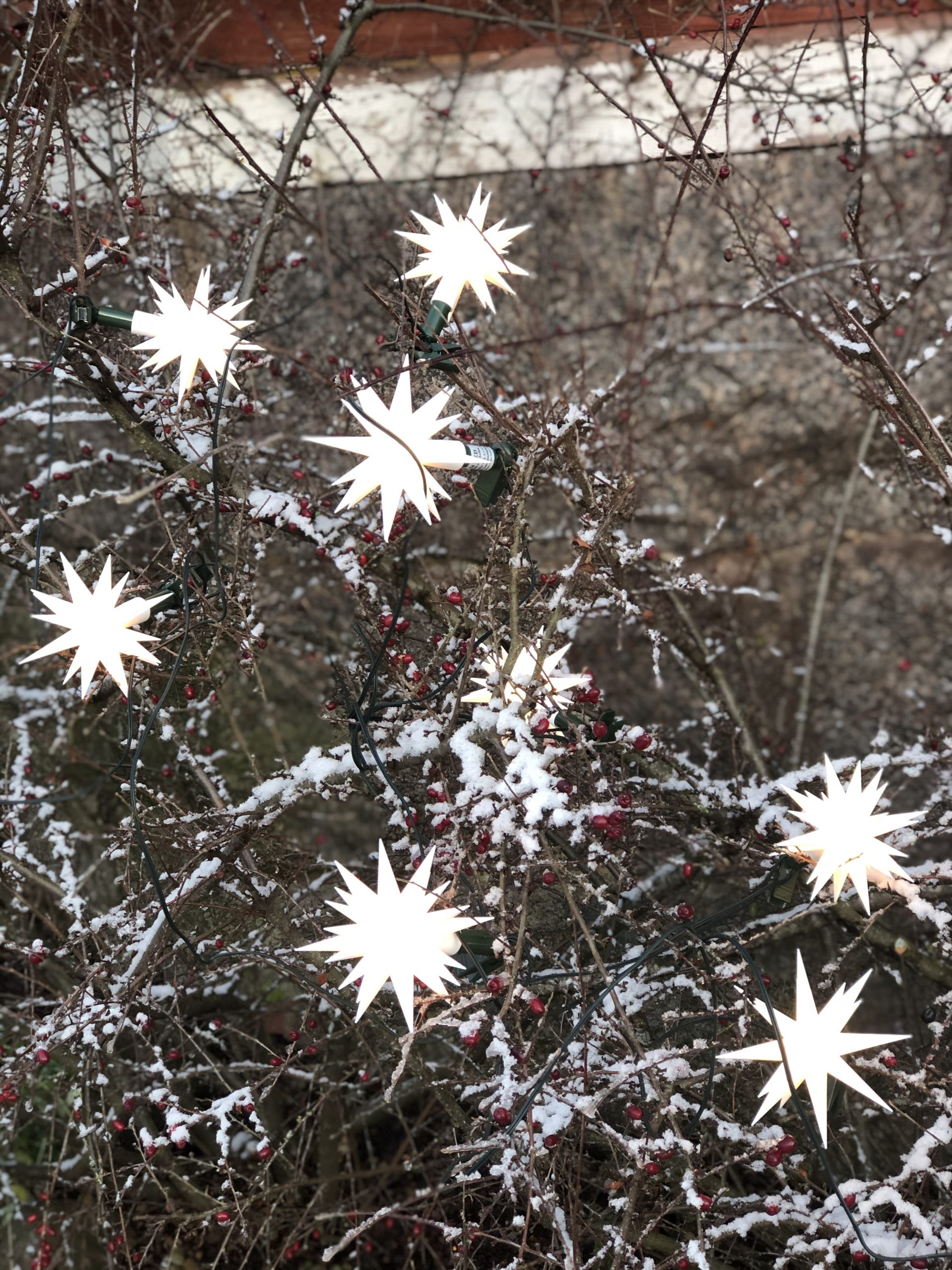 Herrnhuter Ljusslinga