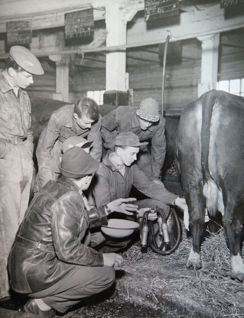 Svartvitt foto. Sex män i en ladugård, med en mjölkmaskin och en ko. Fem av de är klädda i arbetsoveraller och kepsar. En är klädd i skinnjacka och hatt och ser ut att instruera de andra. De sitter hukade och lutar sig fram mot mjölkmaskinen och kon.